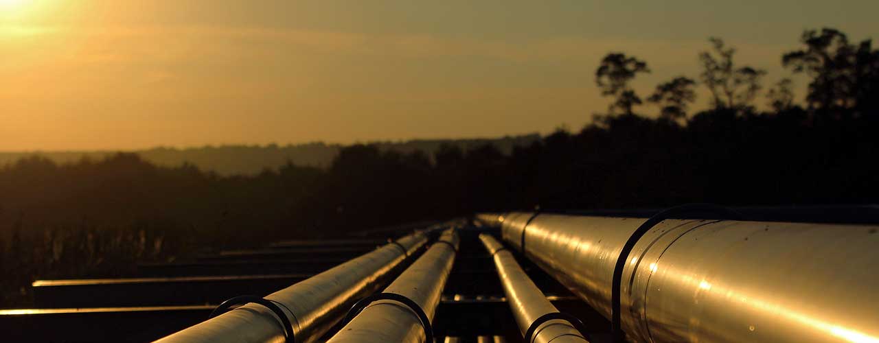 Surveys and Analysis